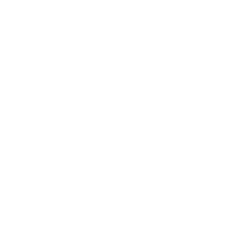 CRYPTO:ADA