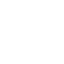 CRYPTO:IOST