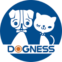 DOGZ DOGZ