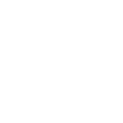 INBS