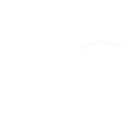 NVNI