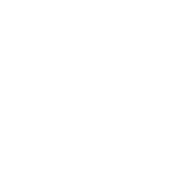 VSME